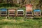 Hives of bees in the apiary. Painted wooden beehives with active honey bees. Bee yard in Switzeland