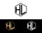 HL letters linked with hexagon shape logo