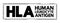 HLA Human Leukocyte Antigen - complex of genes on chromosome 6 in humans which encode cell-surface proteins, acronym text stamp