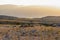 Hlam - Herd of sheep on idyllic hiking trail on moon plateau with scenic view of mountain peak Hlam in Baska, Krk Otok