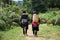 Hmong Minority women walk through forest