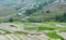 Hmong people working on the field in Lai Chau, Vietnam