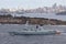 HMS Daring Type 45 Daring-class air-defence destroyer of the Royal Navy departing Sydney Harbor