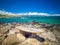 Ho`okipa Beach Park in Maui Hawaii, windsurfing site, big waves and big Turtles