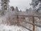 Hoar Frost and Fence