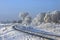 Hoarfrost on branches. Railway turn.