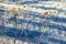 Hoarfrost on dried flower on frozen background with blue lines