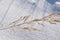 Hoarfrost on a dry blade of grass. Winter background.