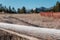 Hoarfrost on the fence