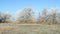 Hoarfrost landscape at Havel river Brandenburg - Germany.