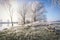 Hoarfrost landscape on Havel River Havelland, Germany