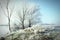 Hoarfrost landscape on Havel River Havelland, Germany