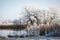 Hoarfrost landscape on Havel River Havelland, Germany