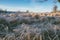 Hoarfrost lies on the grass. Morning landscape by the river