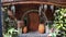 Hobbit House with round doors, barrels, treasure chest, nature plant and other decorations