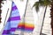 Hoby cat colorful sails palm tree leaf