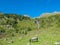 Hochschober - Horses grazing on alpine meadow with scenic view of idyllic waterfall and majestic mountain peak of Hochschober