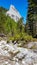 Hochturm - A lush green gorge in high Alps