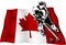 Hockey player on Canadian flag