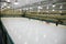 Hockey Rink