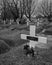 Hofskirkja Church cemetery in Iceland