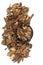 Hog Fennel Root Herb Herbal Plant Medicine