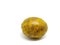 Hog Plum Spondias pinnata Kurz on white background,Jew`s plum