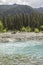 Hoh River and Rainforest