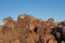 Hohokam petroglyphs of Saguaro National Park, Arizona.