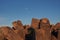 Hohokam petroglyphs of Saguaro National Park, Arizona.