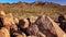 Hohokam Petroglyphs at Signal Hill in Saguaro National Park