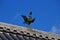 Hohou bird roof ornament, Kyoto Japan