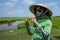 Hoi An, Vietnam, April 21, 2018: Local guide explains rice harvest in Hoi An.