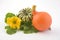 Hokaido pumpkin and sweet dumpling with green leaves.