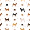 Hokkaido dog, Ainu dog seamless pattern. Different poses, coat colors set