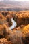 Hokkaido highway with autumn foliage yellow tree forest, aerial