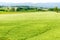Hokkaido landscape : field for agriculture in the