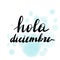 Hola diciembre, vector hand lettering.