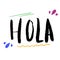 Hola word lettering. Hand drawn brush calligraphy
