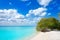 Holbox Island beach mangroove in Quintana Roo
