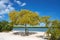 Holbox Island beach mangroove in Quintana Roo