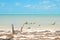 Holbox Island Caribbean Sea Shore