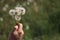 Hold white fluffy dandelions in hand. Dandelion seeds fly in the wind