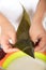 Hold the zong leaves with both hands into a funnel shape and prepare to make zongzi