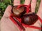 Holding 2 brown conkers with strings ready to play