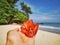 Holding a beautiful blooming red flower on the seaside beach.