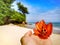 Holding a beautiful blooming red flower on the seaside beach.