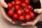 Holding a Bowl of Cherry Tomatoes. Hands cradling a black bowl filled with bright red cherry tomatoes