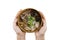 holding bowl Homemade noodle Vietnam food, Traditional Vietnamese soup and rice pudding on a wooden background, pork noodle rice