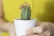 holding a cactus in his hands, two rings, concept complicated relationship